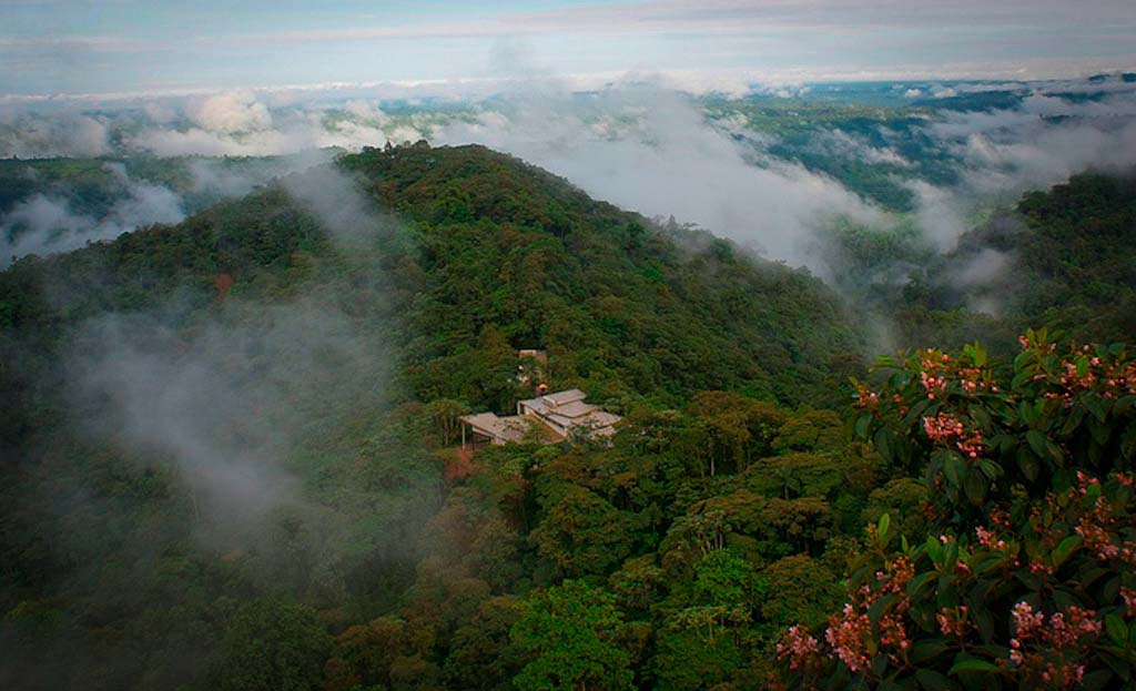 Equateur -foret nuageuse Mindo - Mashpi Lodge