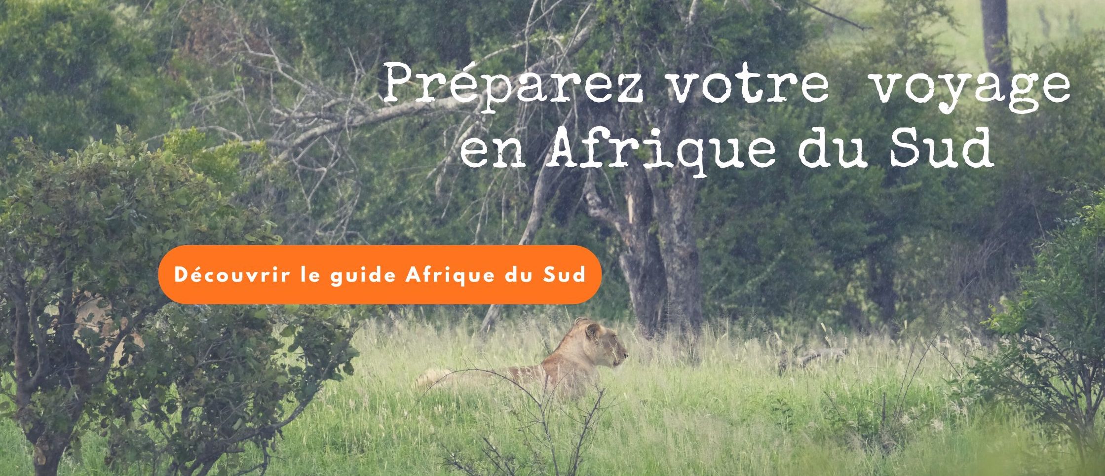 Preparez votre voyage Afrique du Sud