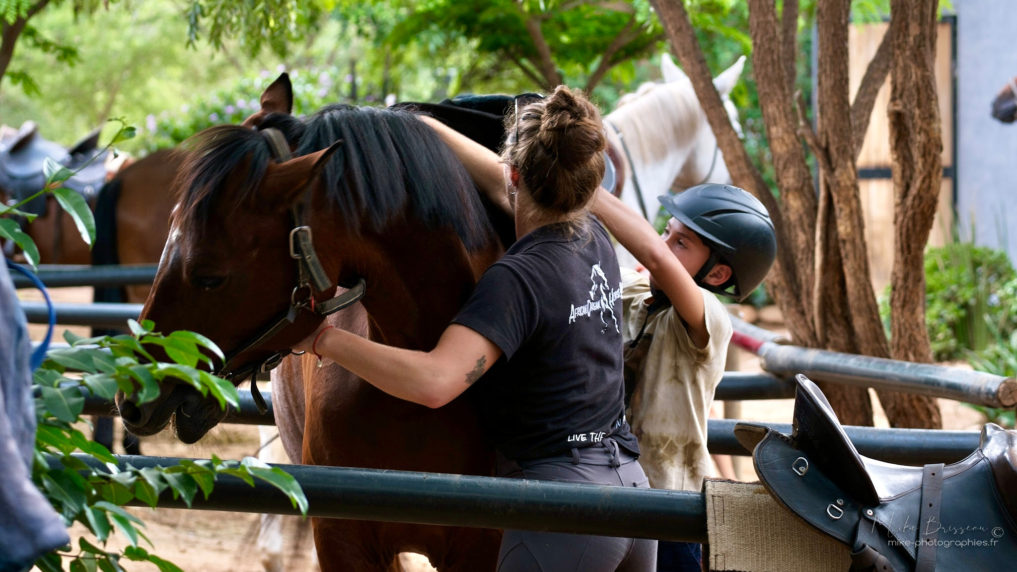 Voyage Afrique du Sud-Cheval-Latinexperience voyages
