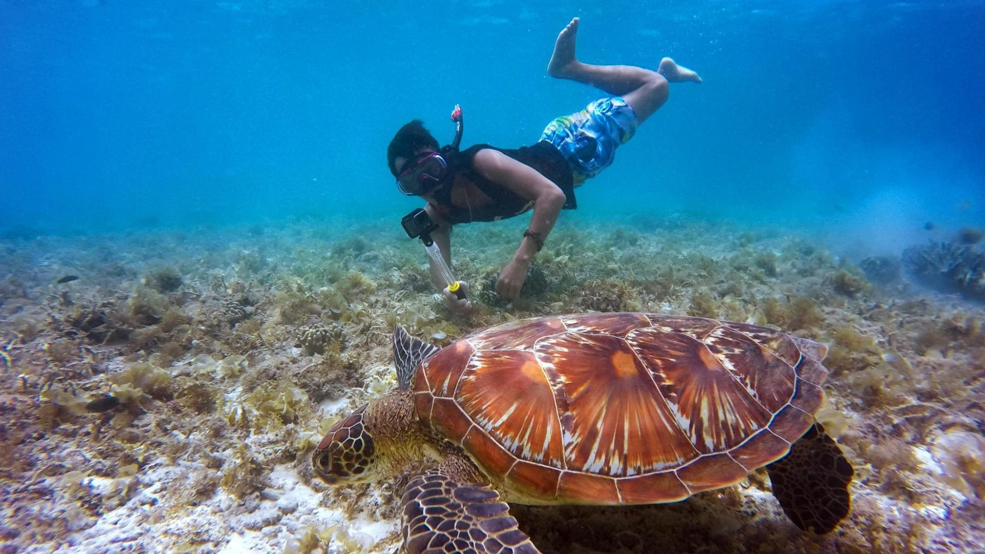 snorkeling au costa rica