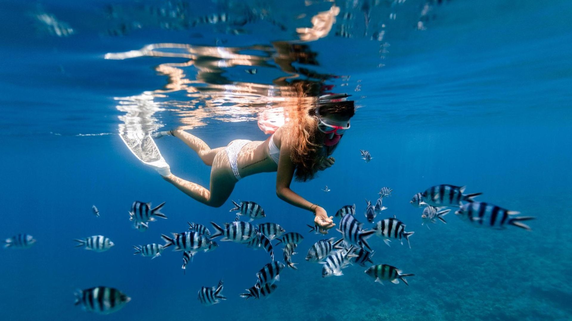 snorkeling costa rica